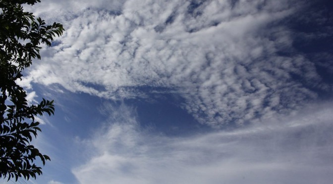 Tempo claro e temperaturas agradáveis em Mato Grosso do Sul Foto: Chico Ribeiro