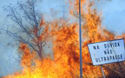 Declarado Estado de Emergência Ambiental em várias regiões do Brasil