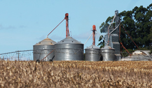 Produtores buscam recursos para modernização e estrutura