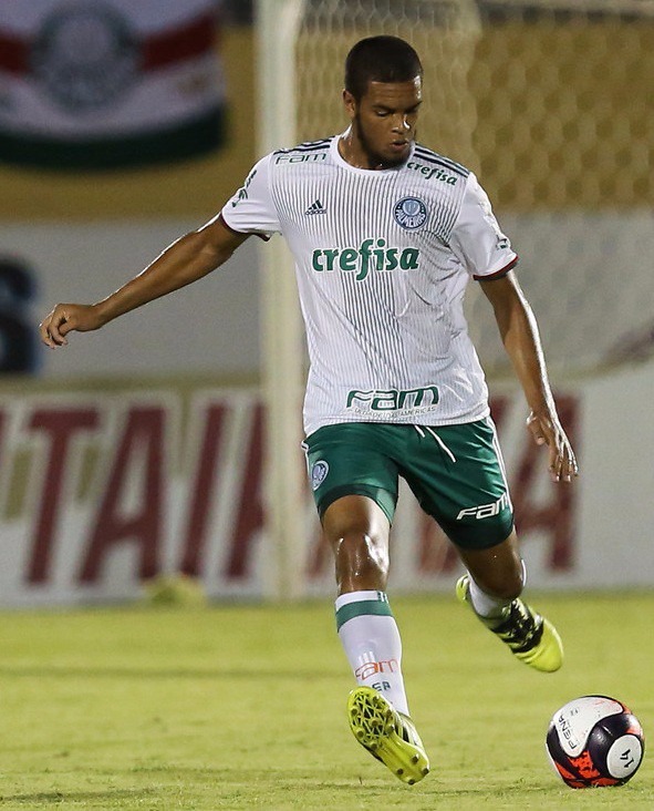 Fora de casa, Palmeiras derrota o Cruzeiro Foto: Divulgação