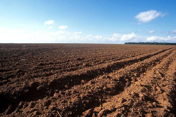 O período conhecido como vazio sanitário proíbe o plantio de soja / Foto: Assessoria