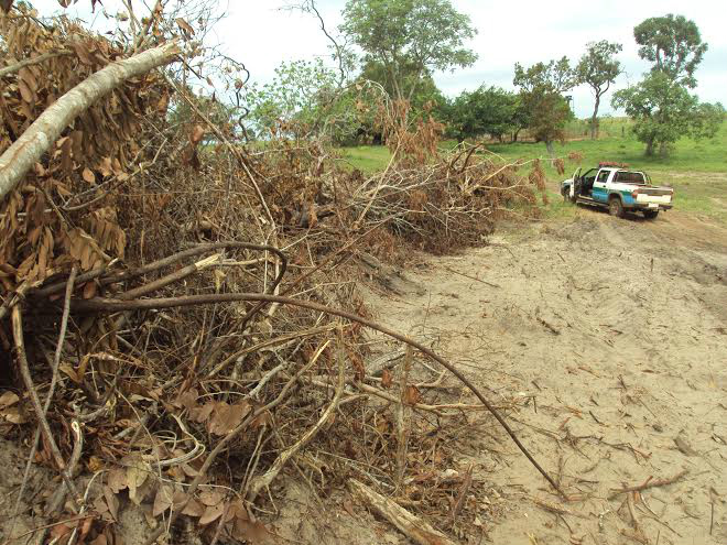 PMA autua fazendeiro em R$ 30,2 mil por desmatamento atingindo matas ciliares