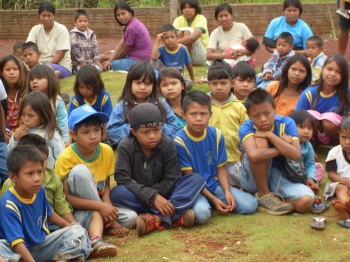 Há, no território brasileiro, cerca de 46.000 índios Guarani, segundo a Comissão Nacional de Terras Guarani. 