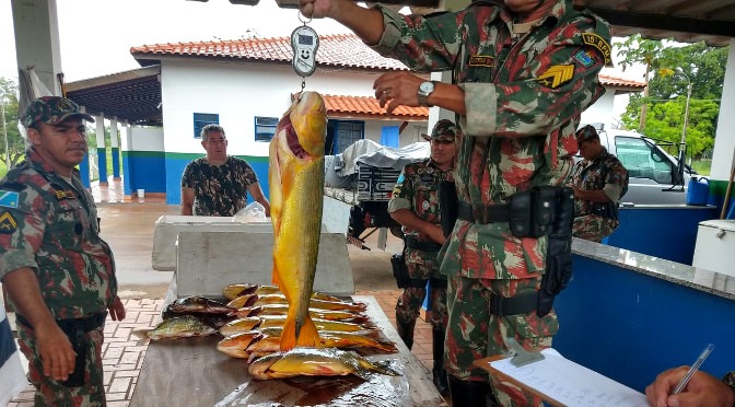 Multa para quem capturar o dourado será de R$2,7 mil