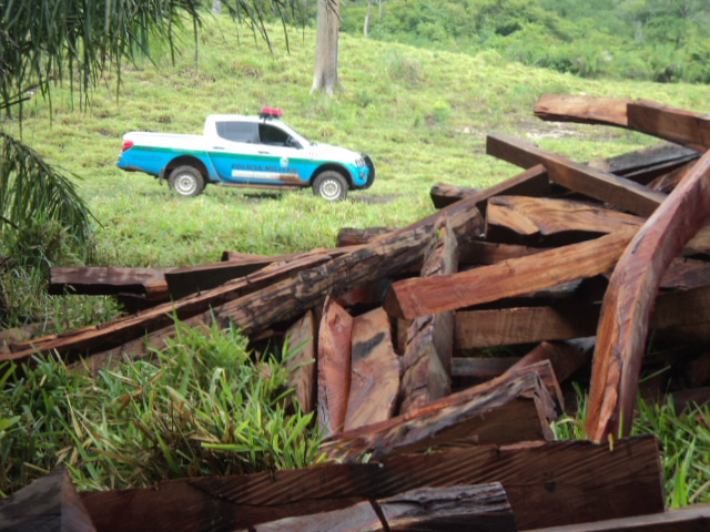 PMA autua pecuarista em R$ 4 mil por exploração ilegal de madeira
