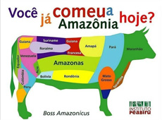 Salve o planeta: pare de comer carne!
