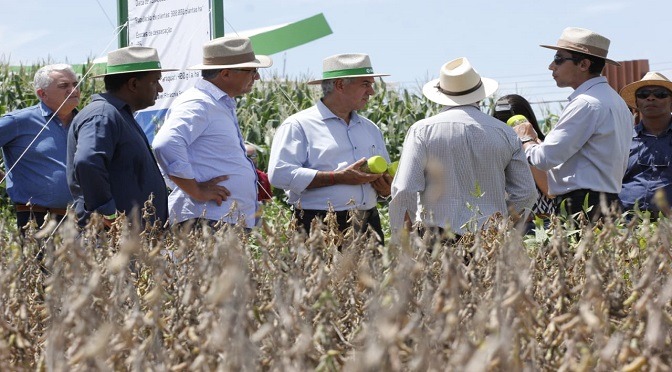 Governo financia programa que avalia eficiência de defensivos agrícolas da soja O termo de outorga foi assinado pelo governador Reinaldo Azambuja durante a Showtec