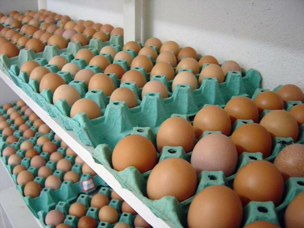 Após atingirem recorde, preços voltam a cair em 2017 (Foto: Divulgação)