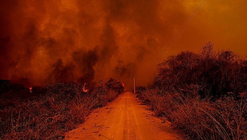 Se queimadas continuarem, Pantanal tende a virar um deserto, afirma biólogo Pantanal teve 30% do seu território destruído pelo fogo - Mayke Toscano/Secom-MT