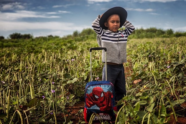 Plano contra trabalho infantil deve ser entregue até esta sexta-feira (30) Programa de Erradicação do Trabalho Infantil visa a retirar crianças e adolescentes do trabalho precoce