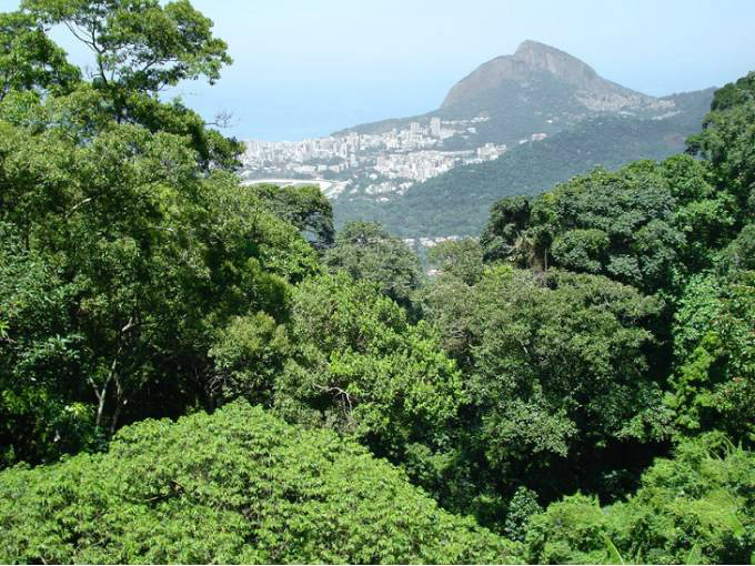 Parque Nacional da Tijuca - RJ
