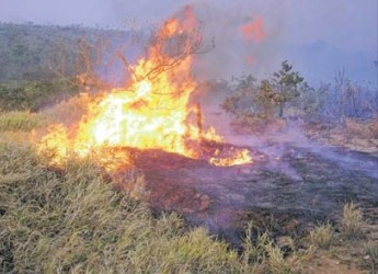 Decretado estado de emergência ambiental em Mato Grosso do Sul
