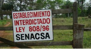 Paraguai estará livre da aftosa em seis meses