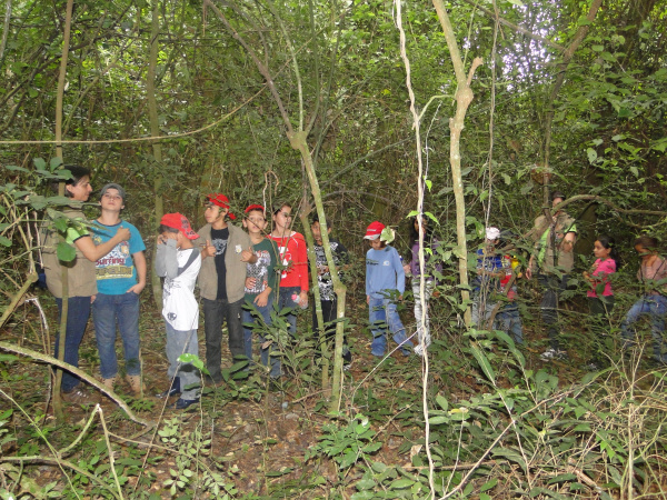 Comemorando o Dia da Terra, Secretaria do Meio Ambiente realiza trilha ecológica Trilha ecológica foi realizada em Amambai