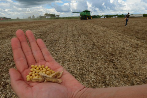 Foto: Assessoria de Imprensa Sistema Famasul