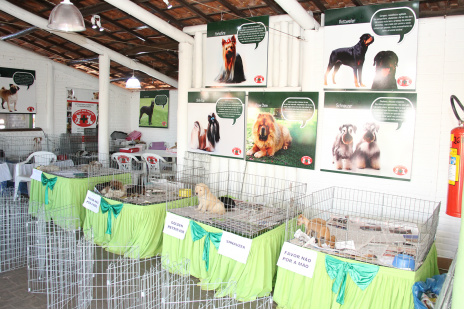 Plano de saúde animal promove feira de filhotes na Expogrande Plano de saúde animal promove feira de filhotes na Expogrande