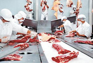 Embarque de carne bovina deve superar US$ 6 bilhões