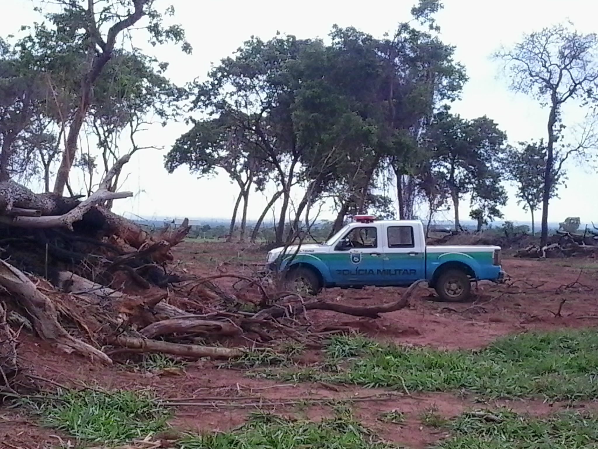 PMA autua pecuarista por desmatamento, incêndio e exploração de madeira ilegal