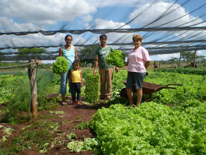 Agricultura familiar já é praticada por 72,7 mil agricultores em MS