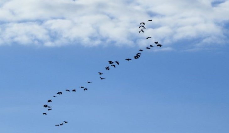 Tempo fica instável nesta terça-feira em Mato Grosso do Sul Foto: Edemir Rodrigues