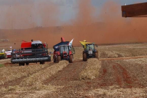 Colheita da soja avança em MS com alta produtividade e sem danos devido à chuva Colheita da soja avança em MS com alta produtividade e sem danos devido à chuva