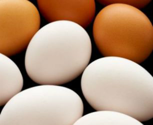 O volume de ovos ofertado segue bastante reduzido, o que pode gerar dificuldades no atendimento de uma maior procura