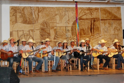 Orquestra Violas de São Gonçalo.