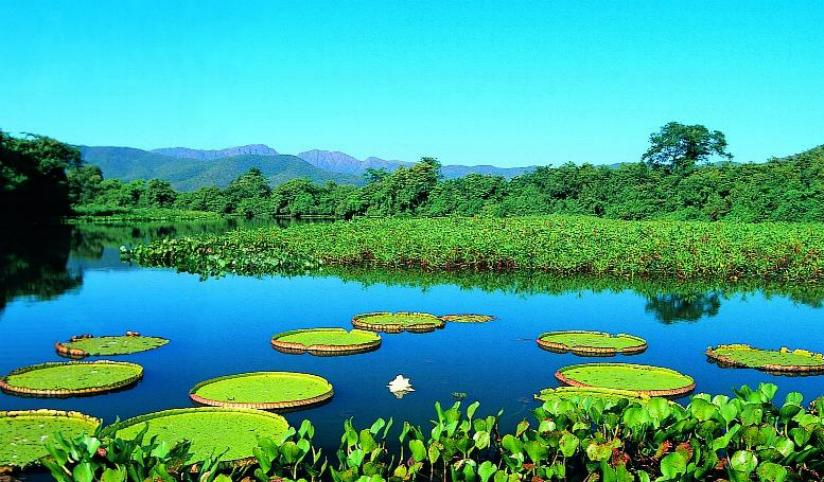Novas hidrelétricas podem prejudicar ciclo das águas no Pantanal Novas hidrelétricas podem prejudicar ciclo das águas no Pantanal