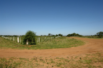Terreno destinado para implantação de um novo cemitério, localizado na MS/485Foto: Moreira Produções 