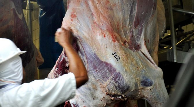 Governo debate monitoramento de carbono e lança Carne Sustentável Foto: Divulgação