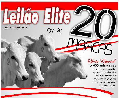 11ª edição do Leilão 20 Marcas acontece nesta quinta-feira (26) em Amambai