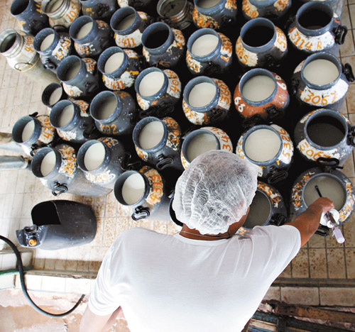 Consultoria prevê aumento de 4% na captação de leite em 2012