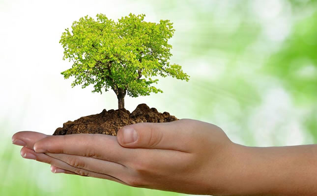 Seminário sobre meio ambiente tem início nesta sexta-feira (29)