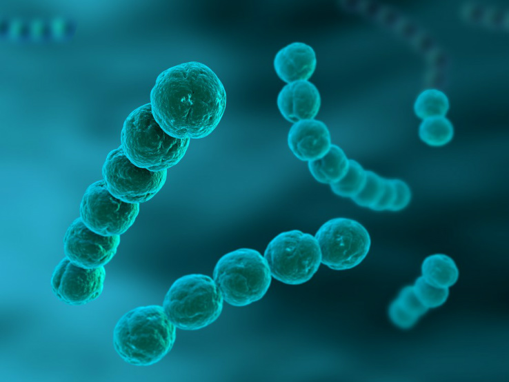 OMS: aumento da resistência aos antibióticos é perigo para a saúde mundial OMS: aumento da resistência aos antibióticos é perigo para a saúde mundial