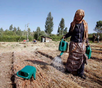 Agricultora na Etiópia