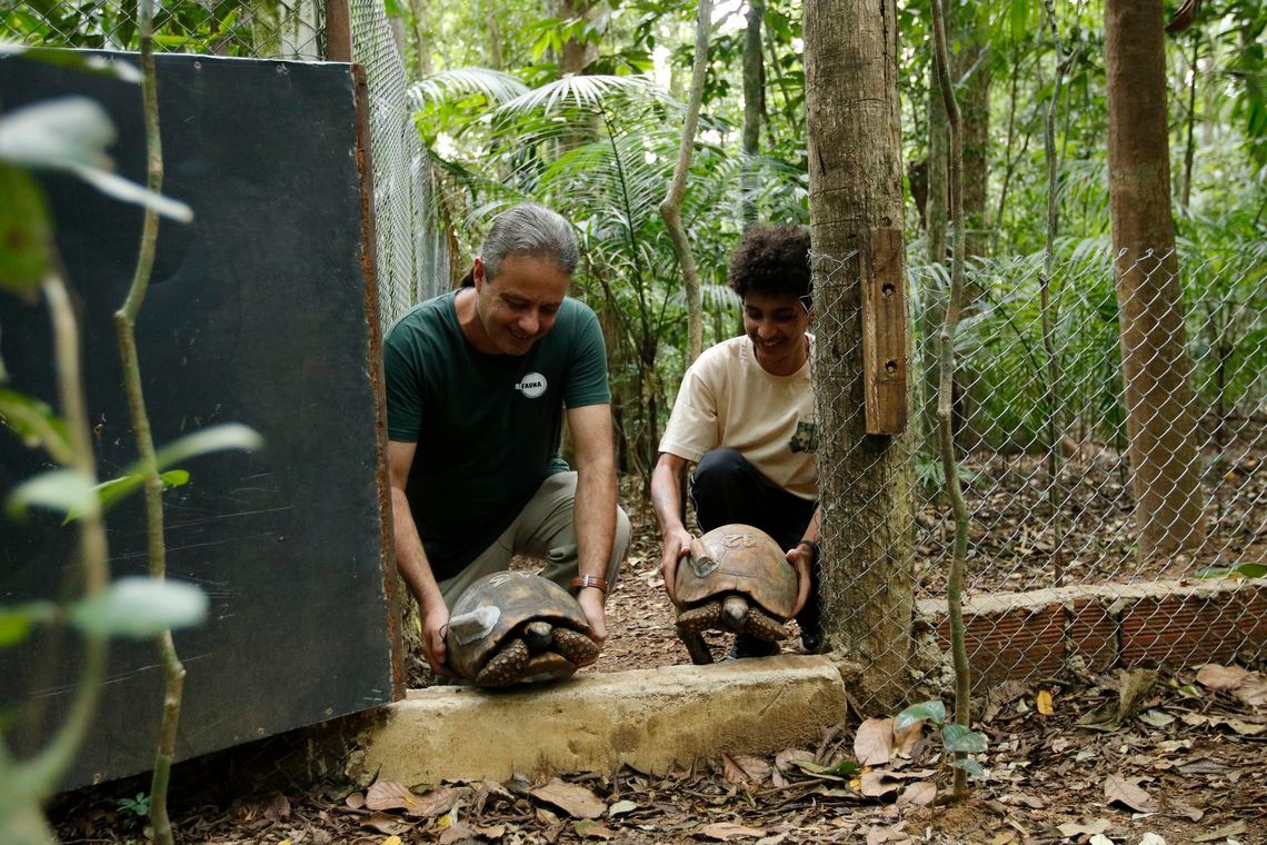 Depois de 200 anos, jabutis voltam ao Parque Nacional da Tijuca no Rio Tomaz Silva/Agência Brasil