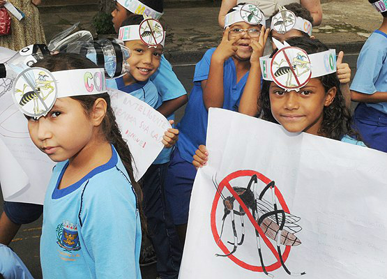 Cartilha visa despertar olhar infantil para conhecimento sobre biologia e principais criadouros do mosquito (Foto: Luiz Granzotto/Prefeitura de Campinas)