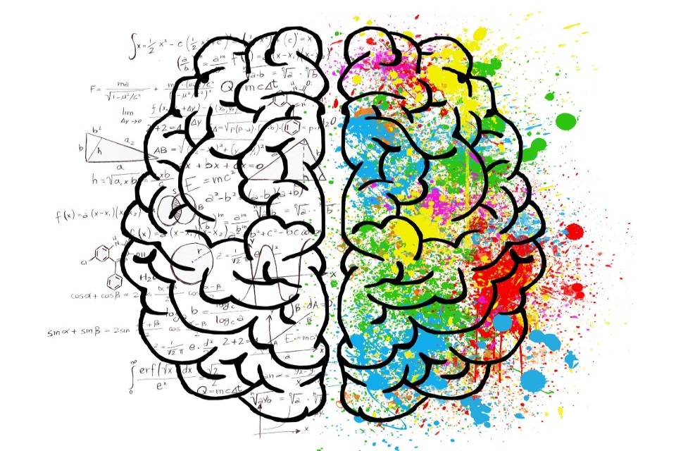 Evolução humana pode explicar relação entre exercícios e cérebro Evolução humana pode explicar relação entre exercícios e cérebro