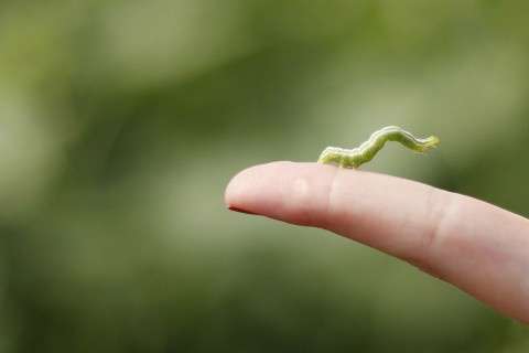 Foto: Gazeta do Povo/Jonathan Campos