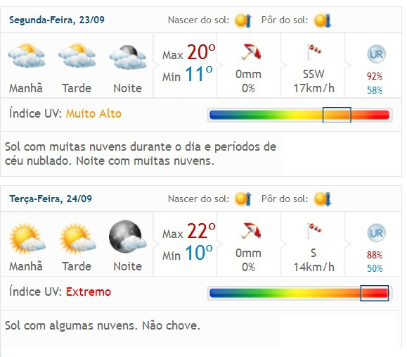 Primavera tem início no domingo (22) e ipês começam a perder as flores