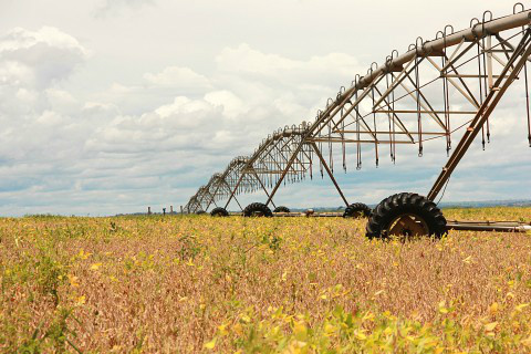 Esse prazo com energia mais barata foi regulamentado pela Agência Nacional de Energia Elétrica (Aneel).