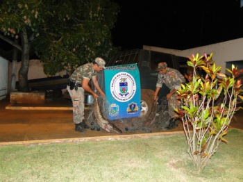 Foram apreendidos um veículo Chevrolet Brasinca, de cor verde, placas HQF 3445, de Jardim, uma rede de pesca e 21 kg de pescado.