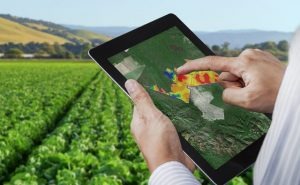 Digitalização deve mudar gestão de negócios do setor agropecuário no país Digitalização deve ser a próxima tendência para viabilizar ganhos de eficiência e de escala no setor agropecuário, mas algumas mudanças organizacionais serão de fundamental importância, dizem especialistas. Foto: Divulgação