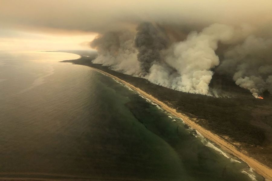 Organizações internacionais pedem emergência climática Foto: Reuters/Divulgação