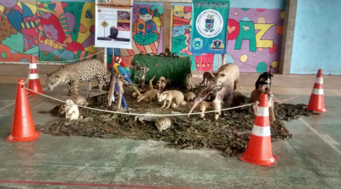 Projeto Florestinha atende 1002 estudantes de escolas do Distrito de Casa Verde