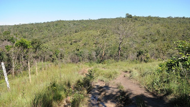 Orientação nesses passeios é sempre levar água potável, lanterna e, se possível, mapa da região (Foto: Arquivo/Agência Brasília)