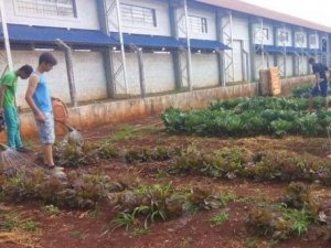 Nova Itamarati mostra estrutura e quer ser o 80º município de MS Escola em Nova Itamarati, uma das quatro instaladas no distrito. (Foto: Arquivo)