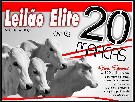 Leilão Elite 20 Marcas acontece hoje (26) em Amambai