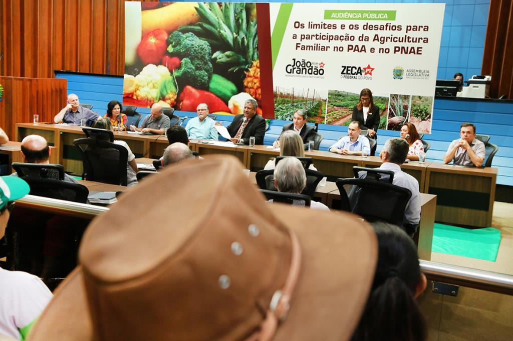 Audiência pública reuniu autoridades e agricultores de 32 municípios de MS, no plenário da Assembleia Legislativa, na sexta-feira (11) / Foto: Victor Chileno