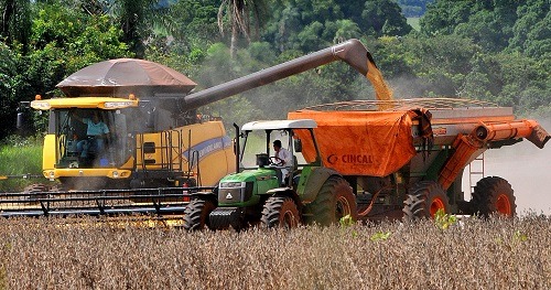Efeito argentina e alta do dólar elevam em até 8% valor da soja Produtores aproveitam “estiada” no clima para poder retirar grãos das lavouras - Foto: Valdenir Rezende / Correio do Estado